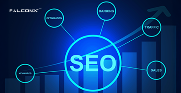 What is Professional SEO Ser...